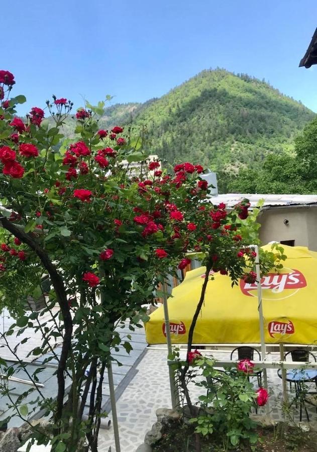 Borjomi Apartments Apart Hotel ภายนอก รูปภาพ